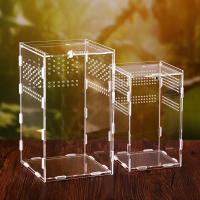 Contenedor acrílico profesional para lagarto, ranas, incubadora de insectos, terrarios, caja de cría, incubadora de reptiles, suministros para insectos - details 3