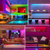 GAHADA Luz de Tira LED de Píxel WS2811 12V/24V, 0.5-5m, Direccionable Individualmente, 96Leds/m, Iluminación de Colores Completos - details 6