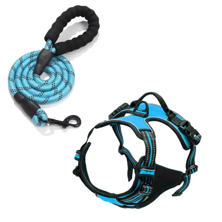Chaleco Arnés para Perros Grandes Transpirable, Antirrones con Correa Premium, Ajustable para Paseos, Correr y Viajes en Coche Tallas S-XL - 1