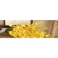 yellow orchid