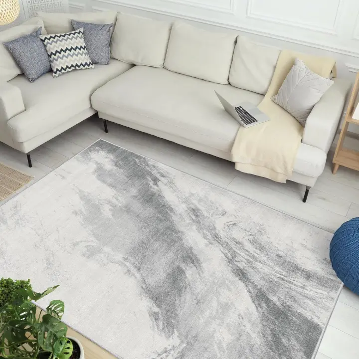 Alfombra Salón Pelo Corto - Alfombras de área Abstractas Modernas Imitación Cachemira,Antideslizantes y Lavable, Decorativas para Dormitorio,Comedor,Pasillo,Interiores (Gris Claro 120x170) - 1