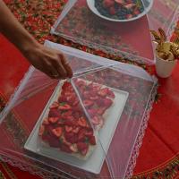 Tienda plegable de malla para alimentos a prueba de mosquitos, sombrilla de red para picnic, cubierta protectora para platos, accesorios de cocina - details 2