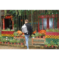 DENUONISS-mochila térmica de gran capacidad para hombre, morral resistente al agua con abrebotellas, ideal para Picnic y comida - details 20