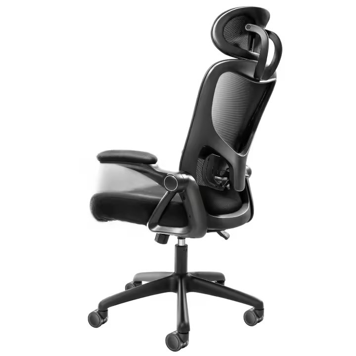SucceBuy Silla de oficina ergonómica con soporte lumbar ajustable, silla de escritorio con respaldo alto, reposacabezas ajustable, reposabrazos 2D - 1