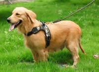 Arnés para perros de nailon duradero, chaleco para perros grandes y medianos, collar de liberación rápida, suministros pequeños, accesorios para mascotas - details 9