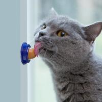 Bola de energía de azúcar para lamer gatos, juguete masticable para golosinas de caramelo, hierba gatera, tiempo de entretenimiento o tiempo de ocio - details 4