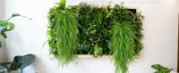 Plantas Artificiales Colgantes