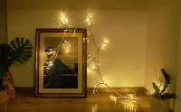 2.4m 96 LEDs Blanco Cálido Guirnalda de Abedul Iluminada Luz de Vid con control remoto para Decoraciones para Paredes - details 0
