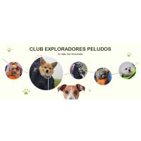 ALLSOPETS