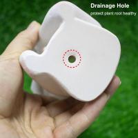 forma, cara de plantas de interior, resina para suculentas de cactus, forma de cabeza de niña y orificio de drenaje, eta con ojos cerrados SHH - details 2