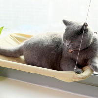 Hamacas para Gatos Percha de Ventana Cama de Gato Montada en la Ventana Ahorradora de Espacio con Ventosas para Mascotas - details 3