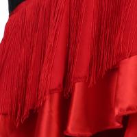 Los trajes de baile latino hechos a medida con borlas no son elegibles para devolución ni cambio. Temezcla cuidadosamente tu talla corporal. - details 9