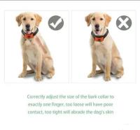 El bestseller, Collar Antiladridos para Perros, nivel 7, sensibilidad, vibración, descarga eléctrica - details 4