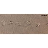 Túnel para Gatos Juguete Plegable Silencioso con 2 Agujeros para Gatitos Conejos Cachorros Beige Longitud 115 cm * Diámetro 25 cm - details 0