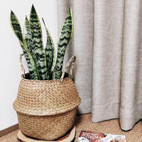 Cesta de Maceta de Ratán Portátil Cesta de Lavandería Sucia Cesta de Jardín para Decoración del Hogar Artículos Peligrosos Normales - details 1