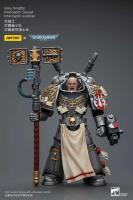 JOYTOY 40k 1/18 figuras de acción Anime 12cm caballeros grises Interceptor Strike Squad juguetes de modelos de colección - details 1