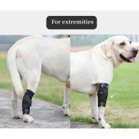 Protector de artritis para perros, soporte para piernas, soporte para articulaciones, rodilleras, recuperación de lesiones, actualizado - details 6