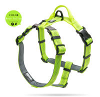 Collar de mascota ajustable Truelove con reflector de nylon y luz LED para caminata y correr TLH6171 Dropshipping Material principal de nylon Tamaño de raza universal para perro o gato - details 15