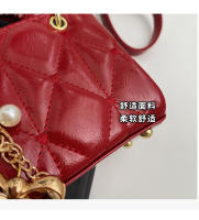 Bolso de Mano de Niche de Alta Gama Estilo Americano Mini Diana Bolso Nueva Moda Primavera-Verano2025 Bolsos y Organizadores de Maquillaje - details 5