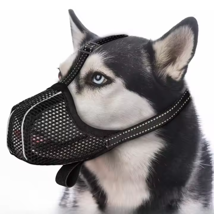 Bozal Perro, evita Que mastiques, Alimentar, Morder Bozal para Perros Pequeños, Reflectante Transpirable Ajustable para Perr - 1