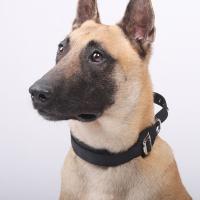 Collar de entrenamiento para perros ajustable y duradero, hebilla de Metal, Collar de cuello para perro resistente, Collar con remaches para perro transpirable, perro de trabajo - details 9