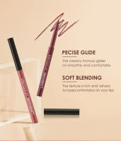 Juego de maquillaje de lápices labiales de 12 piezas, 6 líquidos mate + 6 delineadores, kit de brillo de labios resistente al agua de larga duración - details 2