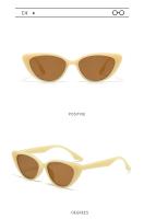 2025 gafas de sol vintage de ojo de gato para mujer, gafas de sol vintage con montura pequeña para hombre, diseño de marca de lujo, gafas para exteriores UV400 - details 23