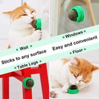 Juguetes de Catnip de Platavina para Gatos Bolas Energéticas Extra para Gatitos Limpieza Dental - details 3