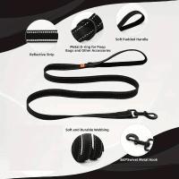 Nylon reflectante de 6 pies con mango acolchado suave, anillo en D adecuado para caminar y entrenar, correa para perros pequeños y grandes - details 1