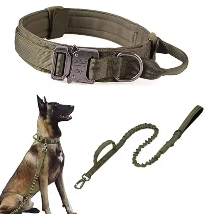 Correa de Entrenamiento al Aire Libre para Perros Medianos y Grandes Collar Incluido - 1