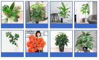 Sábanas persas artificiales de 56cm y 15 tenedores, plantas de plástico, materiales de pared, palmeras falsas verdes, decoración del hogar para hoteles, - details 6