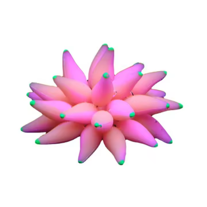 Coral Artificial de burbuja Fluorescent para acuario - 1