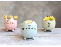 ETA i ued para un agujero de planta jugoso, macizo de flores con un hermoso animal, lindo gato, decoración de jardín, bonai ETA, cumpleaños - details 1