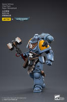 JOYTOY 1/18 figura de acción Space Wolves Claw Pack Sigyrr Stoneshield colección de Anime modelo militar - details 4