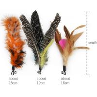 Juguetes de Estimulador de Gatos 5pcs Cuerda de Atrapar con Pluma de Pavo Real - details 13
