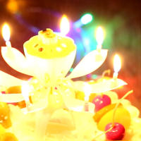 Vela de flor de loto mágica para fiesta de boda, decoración giratoria Musical creativa para pastel de cumpleaños, regalo de bricolaje para niños - details 14