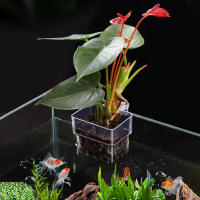 Taza colgante de planta de agua para tanque de peces, promueve la plantación de organismos acuáticos para amapolas de agua y plantas acuáticas - details 1
