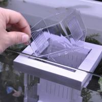 Caja de aislamiento de peces acrílica, incubadora desmontable para incubación de pecera, caja flotante para incubar, caja de aislamiento transparente para cría de peces - details 6