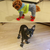 Zapatos cálidos de invierno para perro, botas antideslizantes impermeables para caminar al aire libre, accesorios para mascotas, pata protectora para cachorros y gatitos, 4 unids/set - details 4