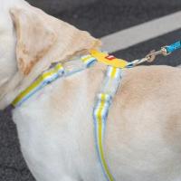 Conjunto de arnés y correa ajustables para perros, chaleco para caminar para mascotas transpirable multicolor con cuerda de tracción, correa para el pecho para perros para todas las estaciones - details 1