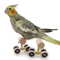 Juguetes de Entrenamiento para Pájaros 6Pcs Anillo de Empilhaje Mini Carro de Compras Patinetas Bola de Campana Mesa de Tricks para Pájaros Material de Madera Dangerous Goods Normales Producto Universal para Interior - details 13