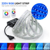 GAHADA Luz de Tira LED RGB Impermeable, 5050 60LEDs/m, Control Remoto Táctil de Pared, Iluminación y Decoración - details 0