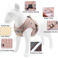 Arnés y Correa para Perros Pequeños Sin Neumáticos Ajustable Chihuahua Reflectante - details 1