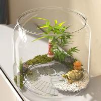 Tanque de peces redondo transparente duradero, tanque de visualización de plástico resistente a caídas, acuario pequeño de escritorio decorativo antirotos para el hogar - details 2
