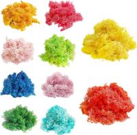 Plantas verdes artificiales de vida eterna, hierba de musgo, decoración de jardín de casa, Mini paisaje, flor falsa, regalos de manualidades DIY, 50g, nuevo - details 1