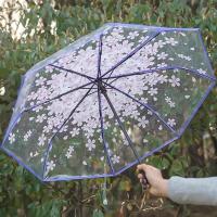Paraguas coreano lindo mini fresco triple japonés flor de cerezo paraguas transparente, impermeable y resistente al viento - details 8