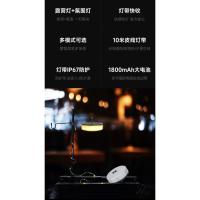 Luz de cinta métrica LED para acampar Luz ambiental al aire libre que carga la tienda - details 1