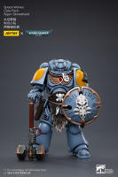 JOYTOY 1/18 figura de acción Space Wolves Claw Pack Sigyrr Stoneshield colección de Anime modelo militar - details 0