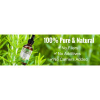 rosemary oil for hair growth