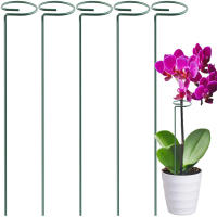 Soporte de anillo de soporte de pila de patio trasero de vástago único para el hogar largo, Estaca de soporte de plantas, herramienta de jardín - details 0